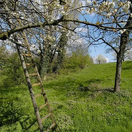 Hotel Restaurant Op De Beek Schin op Geul