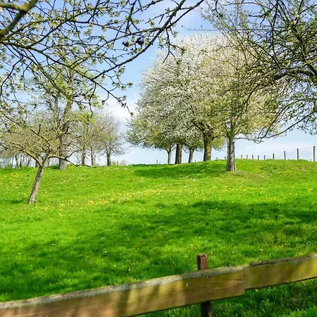 Restaurant Op De Beek 3*