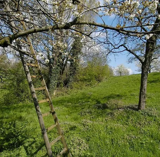 Hotel Restaurant Op De Beek Schin op Geul